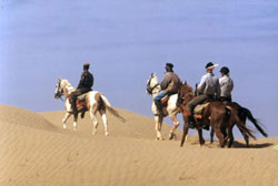 horse safari going on desert mountains