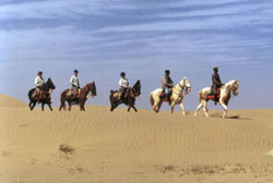 enjoying horse back rides in rajasthan