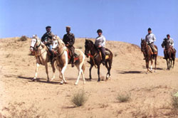 horse riding in desert of rajasthan , India