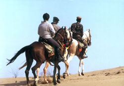 royal horse back riding in India