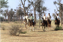horse riding experience in jungle, Rajasthan, India