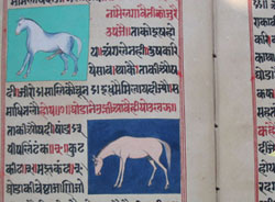 epics or traditional stories about indian horses and horse safaris