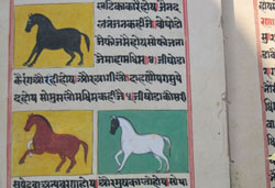 epics or traditional stories about indian horses and horse safaris